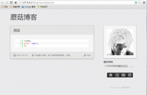 blogmi语法高亮minicms
